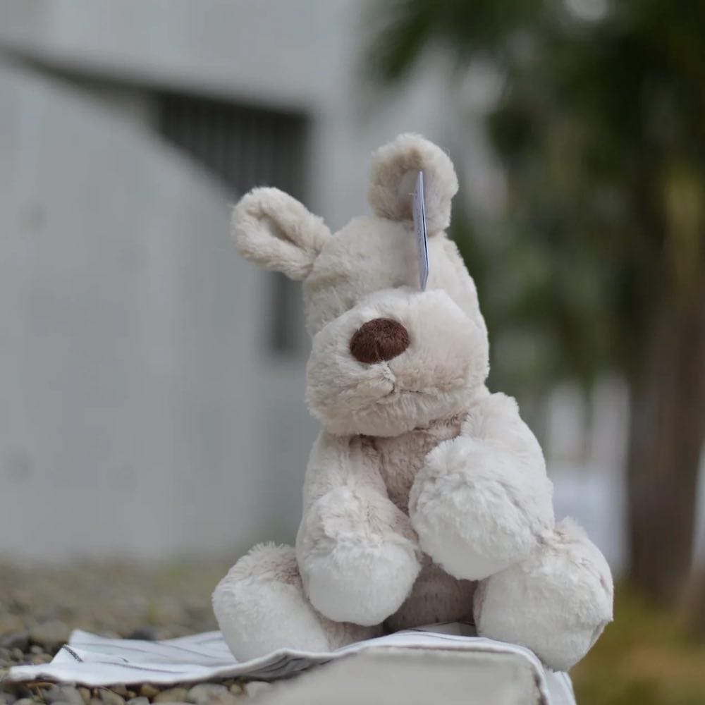 瑞典 Teddykompaniet Cream 大褐狗狗