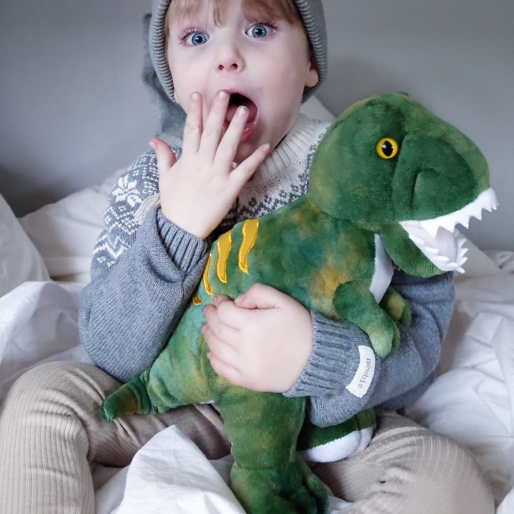 瑞典 Teddykompaniet 夜光暴龍