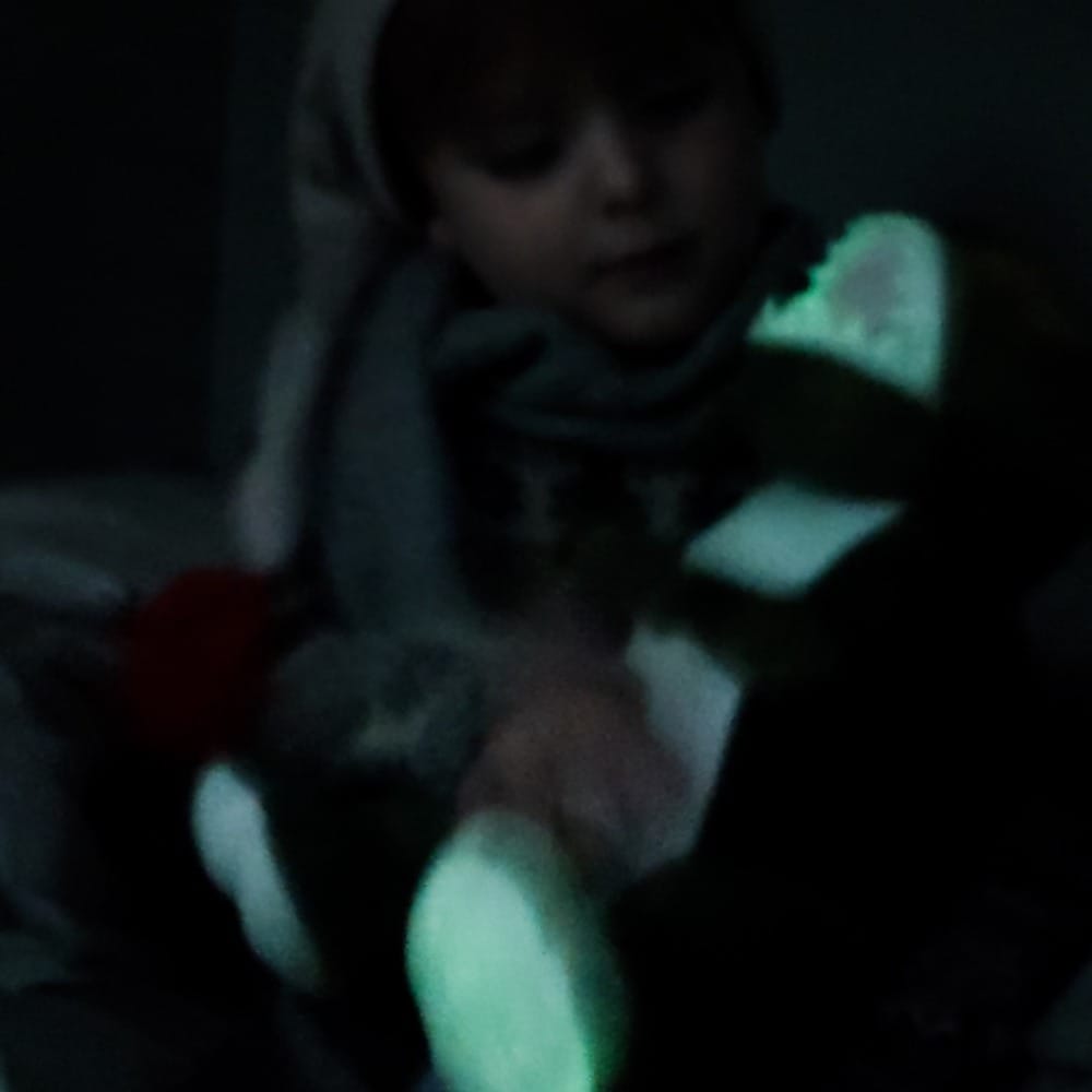 瑞典 Teddykompaniet 夜光暴龍