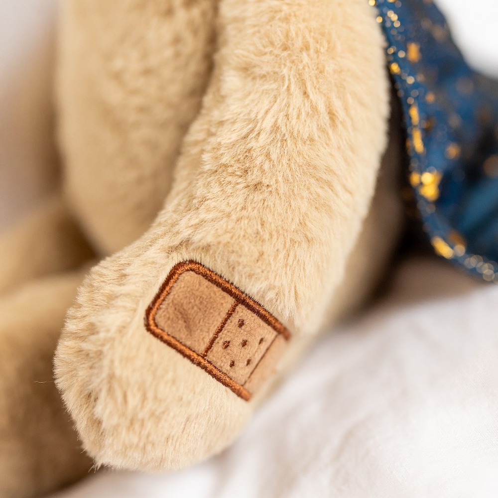 瑞典 Teddykompaniet Sven超人熊