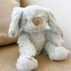 瑞典 Teddykompaniet Lolli粉藍兔兔