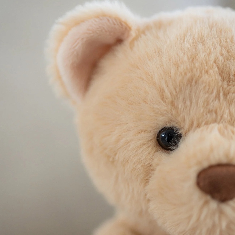 瑞典 Teddykompaniet Hjalmar拿鐵熊