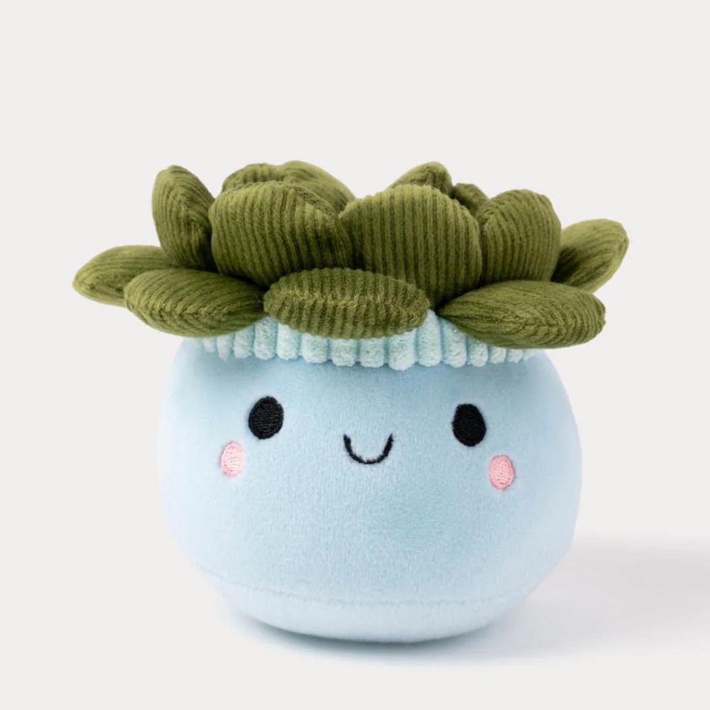 瑞典 Teddykompaniet 多肉盆栽