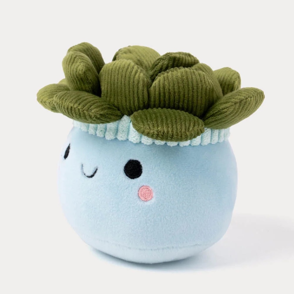 瑞典 Teddykompaniet 多肉盆栽