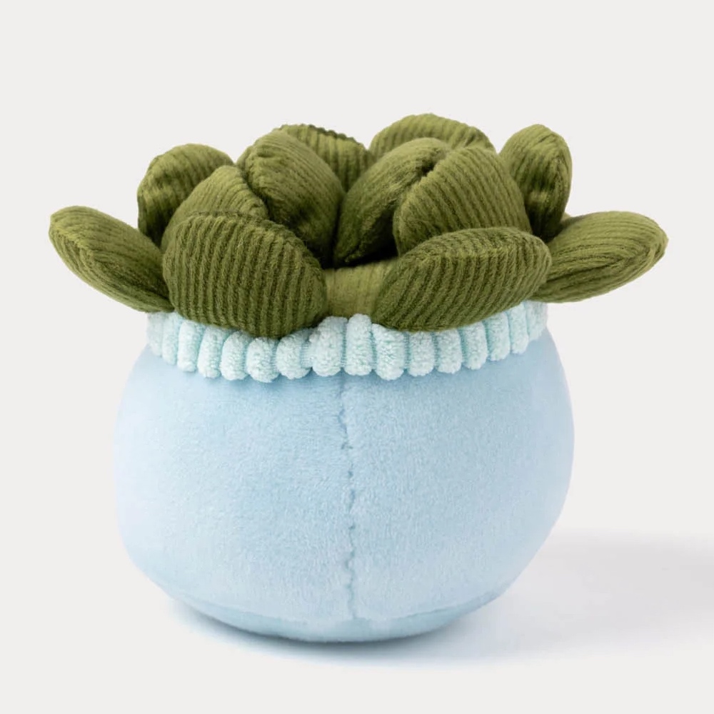 瑞典 Teddykompaniet 多肉盆栽