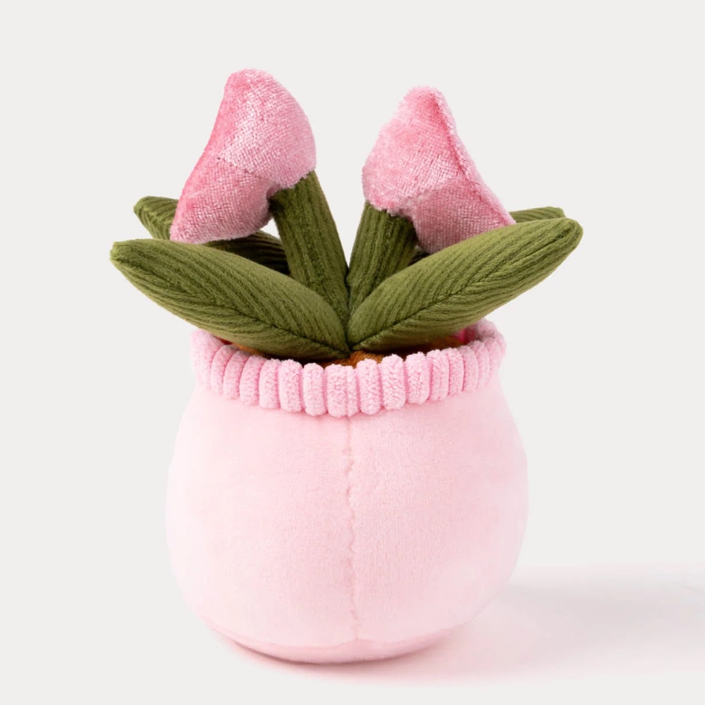 瑞典 Teddykompaniet 鬱金香盆栽