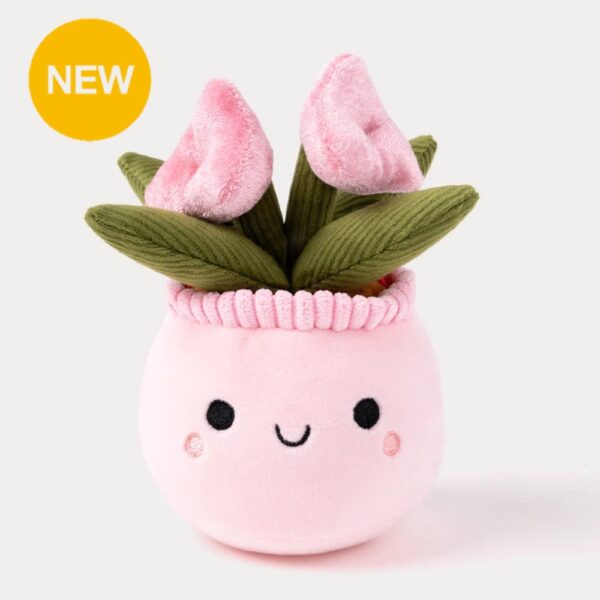 瑞典 Teddykompaniet 鬱金香盆栽