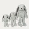 瑞典 Teddykompaniet Svea薄紗煙綠兔兔