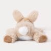 瑞典 Teddykompaniet 趴趴兔 瑞典 Teddykompaniet 趴趴兔